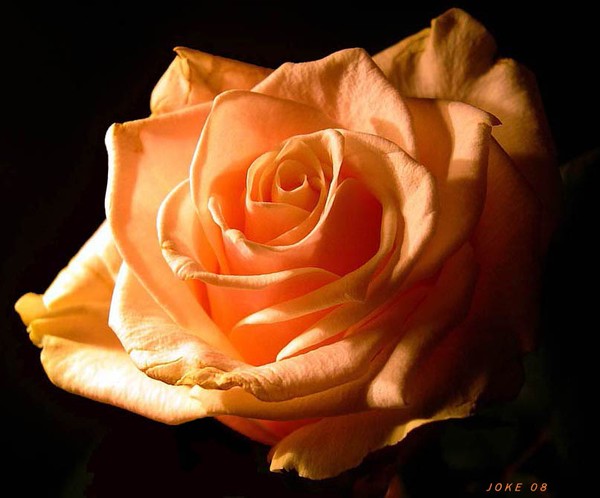 Have al an beautiful weekend my friends