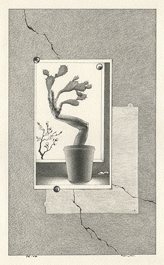 Metamorphosis