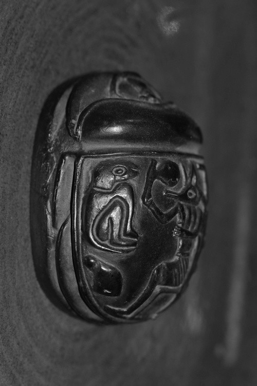 Scarab