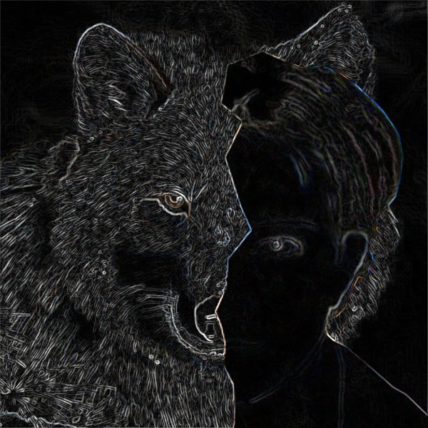 Black Human Wolf