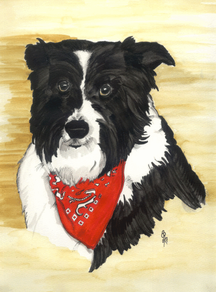 Bandit