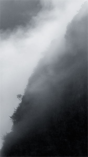 Mountain Mist