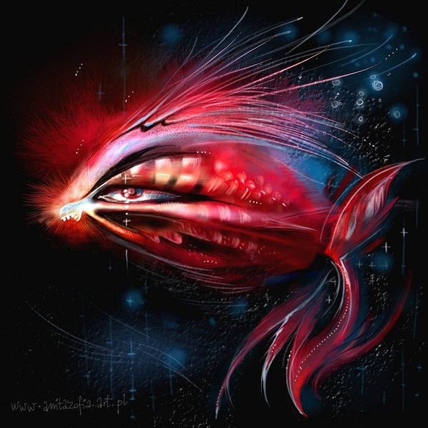 little fish