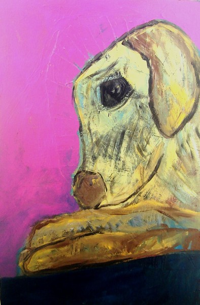 the yellow puppy