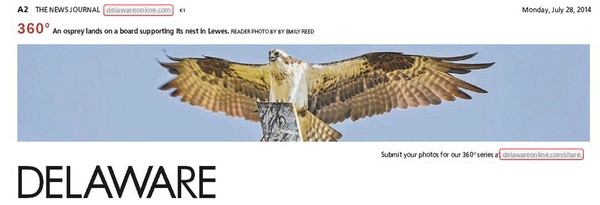 181st News Journal Panorama-Osprey
