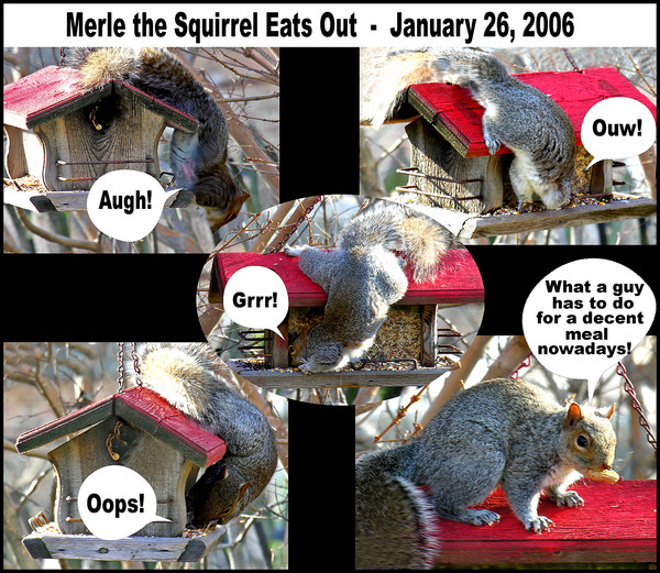 Merle the Squirrel Eats Out