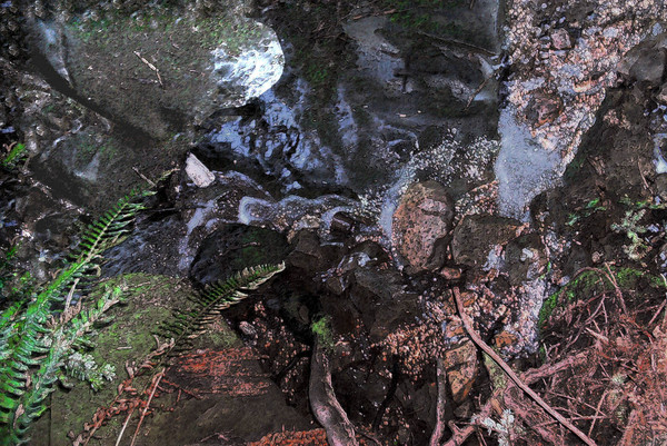 Mountain Stream
