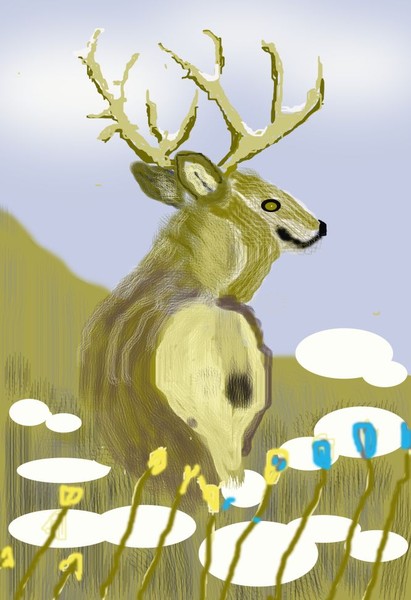 O506 Mule Deer