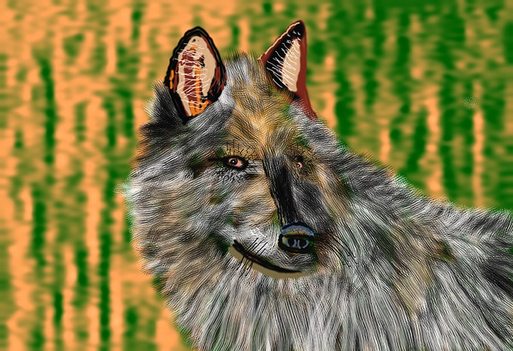  wolf in the shadows  O982