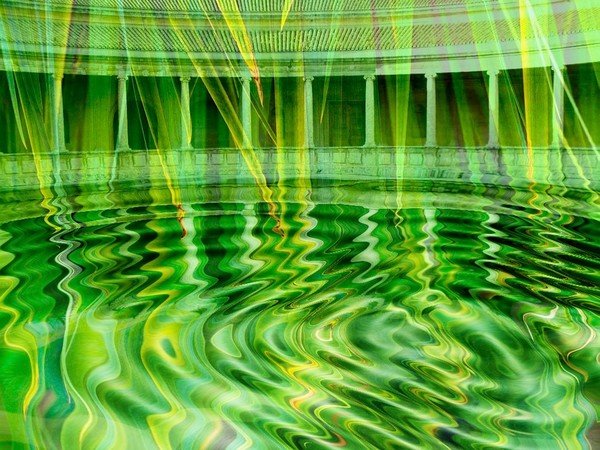Palm Water Courtyard