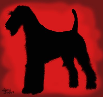 Dog13