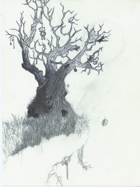 old tree