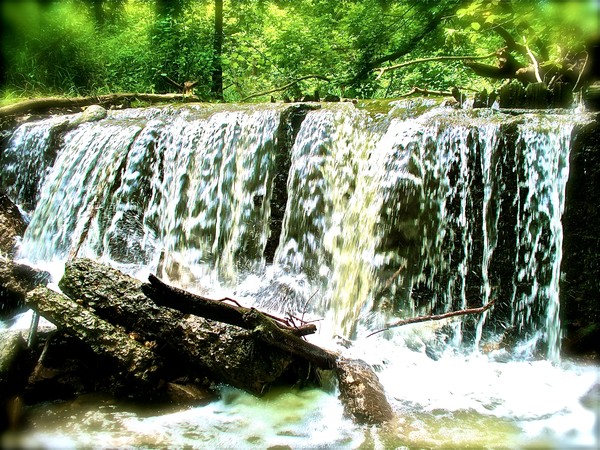 Grand River in Brantford, Ontario