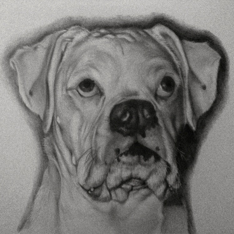 Buster