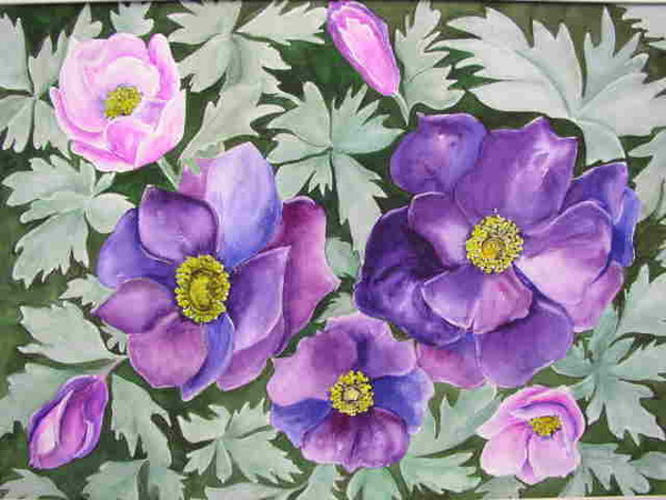 Purple Anemonies