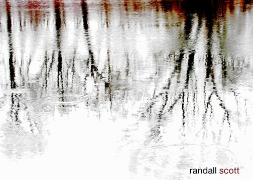 REFLECTIONS OF SPRING