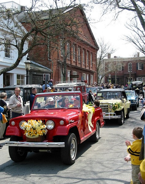 Daffodil Parade II