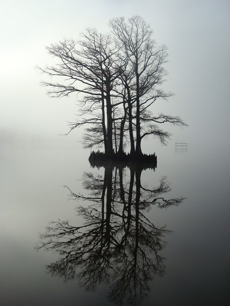Foggy Reflection