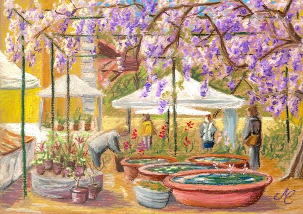Horti Tergestini