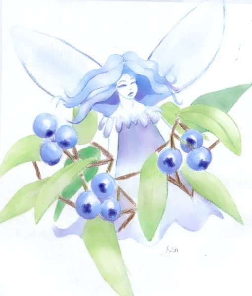 Blueberry Fairy