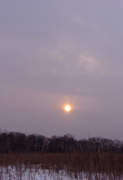 Ontario Winter Sky