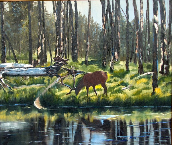 Yellowstone Rebirth 