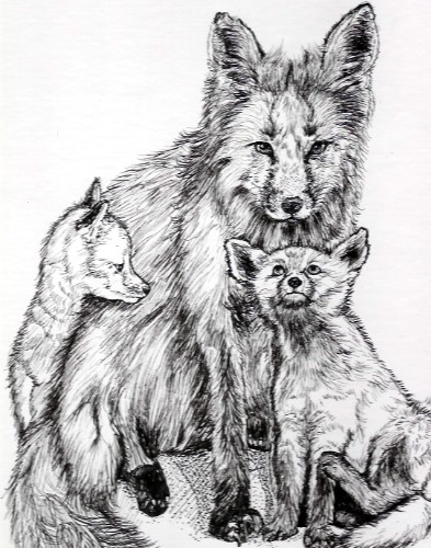 Fox Family #1