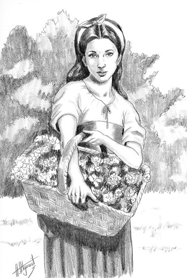 Florista(alguacil)