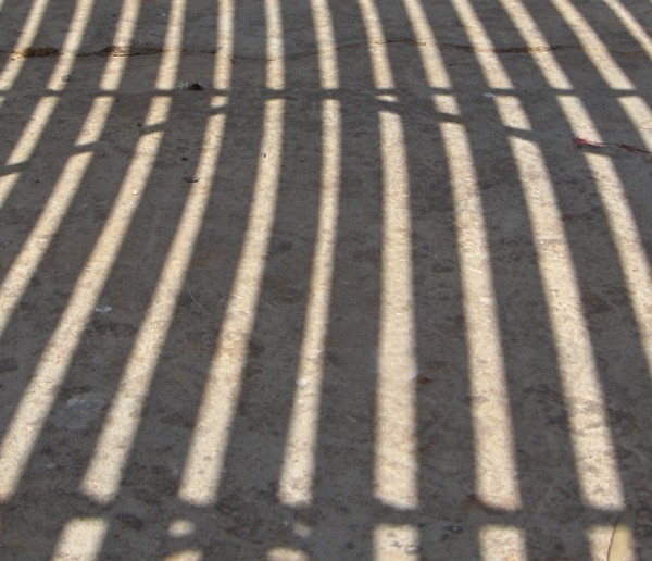 Bars of Shadow