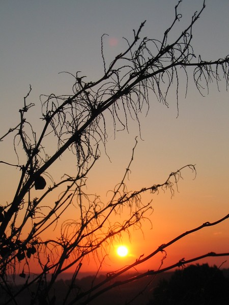 Sunrise