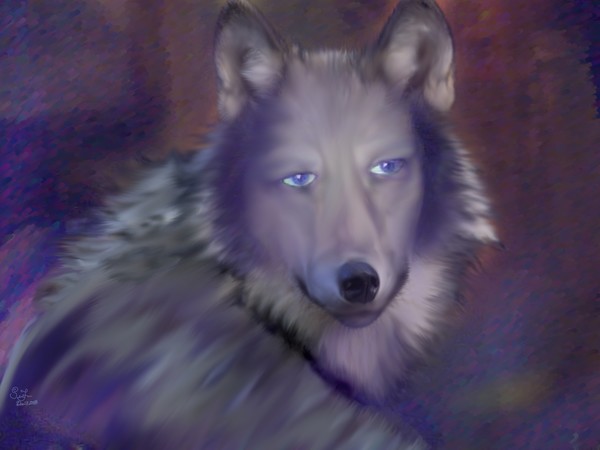 Lone Wolf