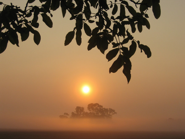 hazy starting day...