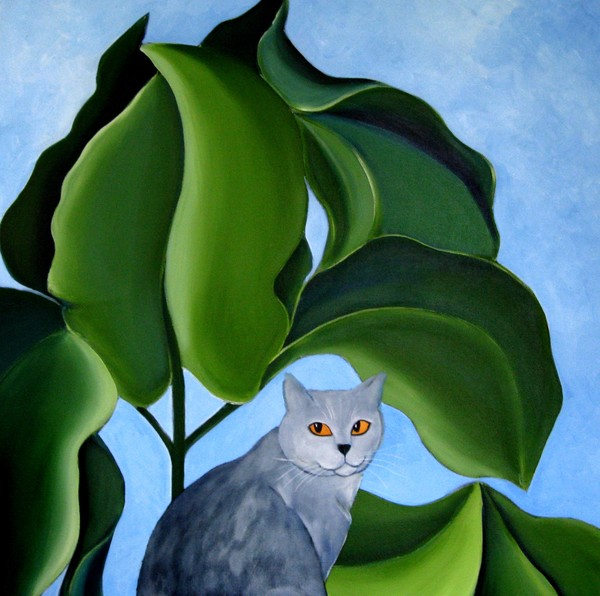 my cat