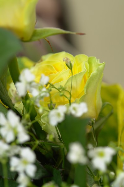 Bouquet -detail
