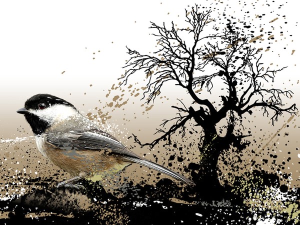Chickadee Giclee