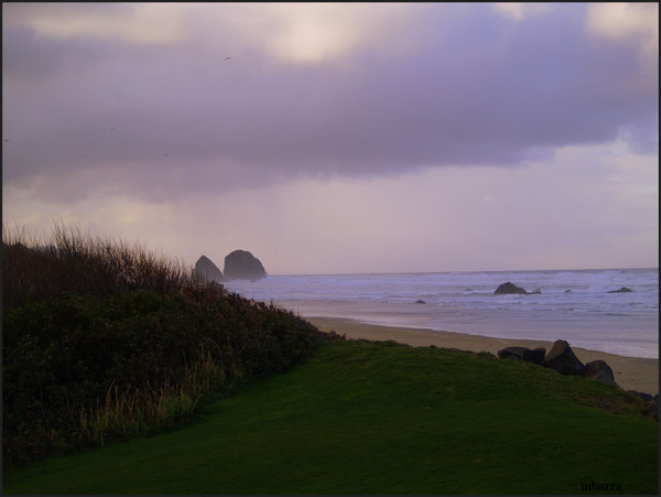 Febuary  Coast