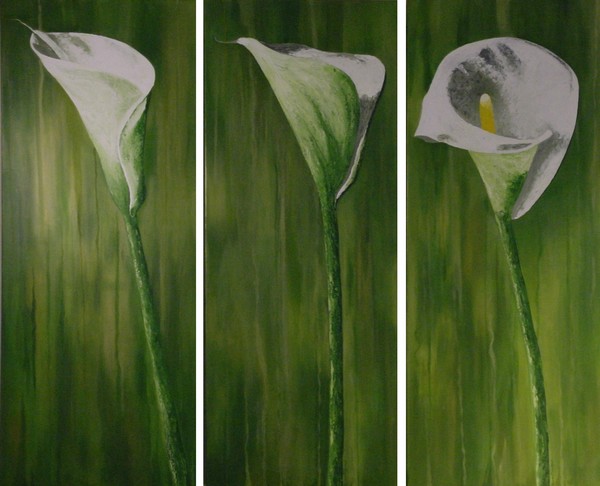 3 calla's