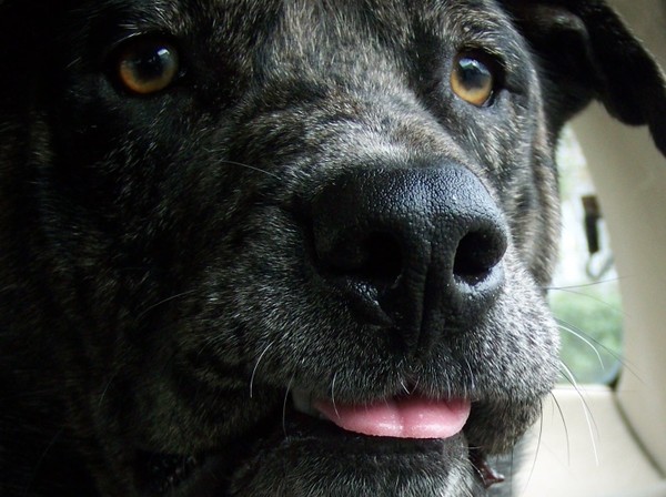up close to a kiss