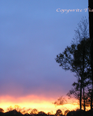  Colorful Sunset
