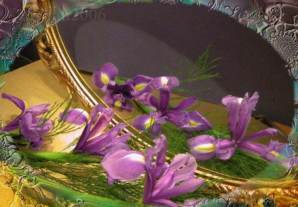 Iris Reflection