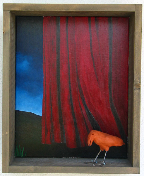 The Raven Series - Curtain
