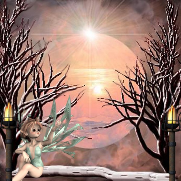 fairy Wonders