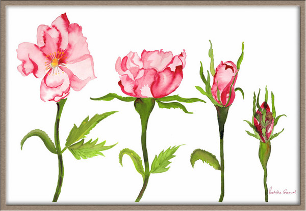 Blossoming