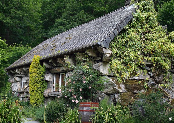 THE UGLY HOUSE (TY HYLL)