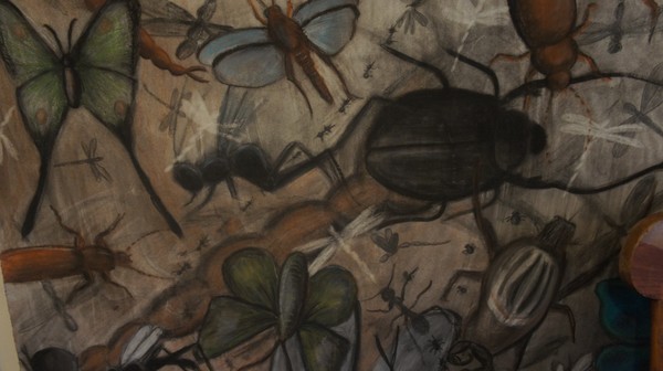 bugs