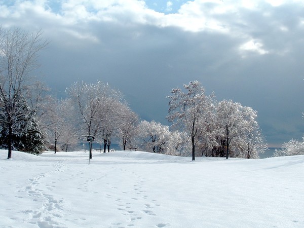 Hoar-frost