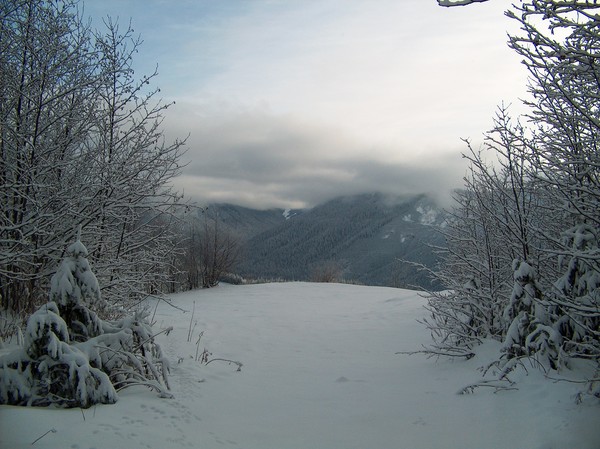 Evans Creek ORV Park