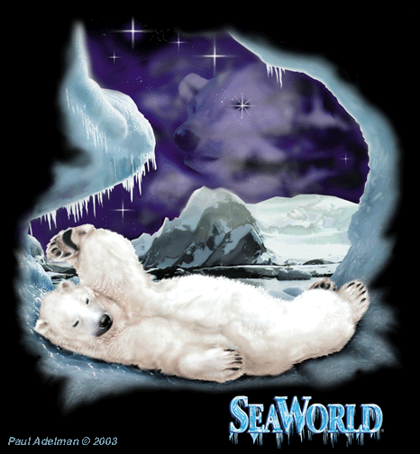 Polar Bear
