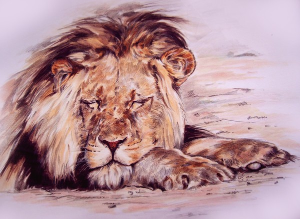 Leo