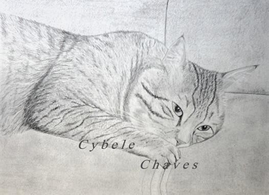 Cat 21